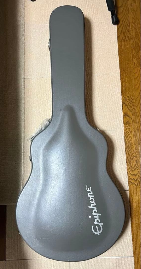 ギター Epiphone USA Casino