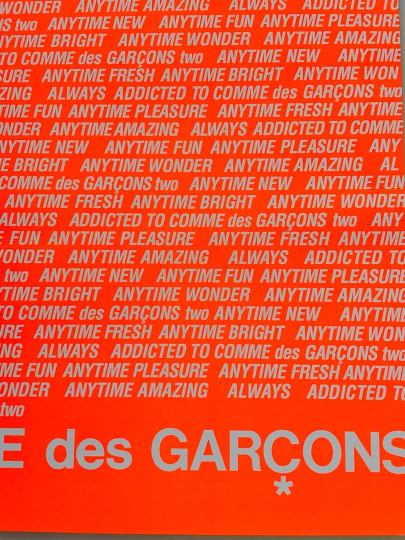 COMME DES GARÇONS two DM
