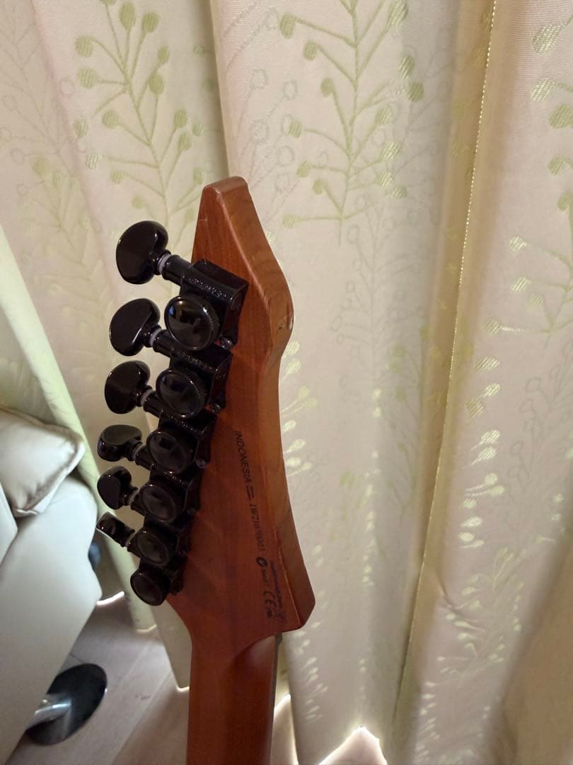 ギター Balaguer Diablo Evertune BKP nailbomb