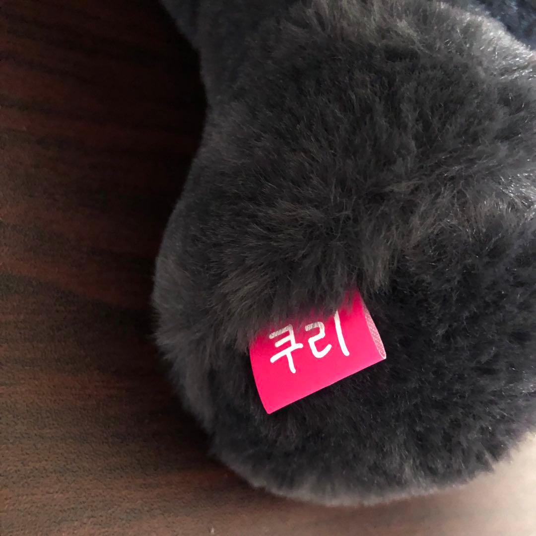 NCT WISH リク キャラクターバッグ トレカ無し ソウルコンMD