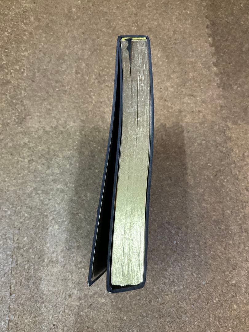 Dries Van Noten ドリス・ヴァン・ノッテン 作品集 アート