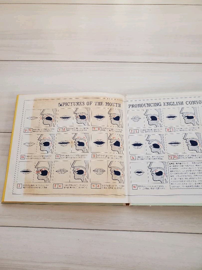 旺文社　My English Record Book