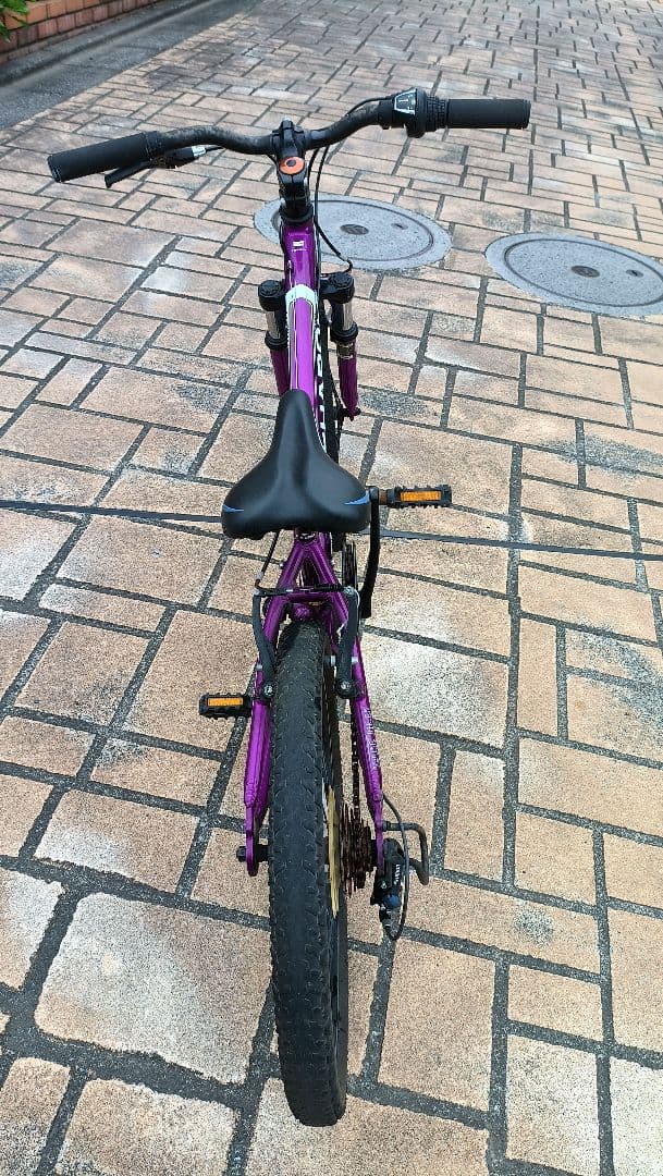 HARO 20インチ　自転車