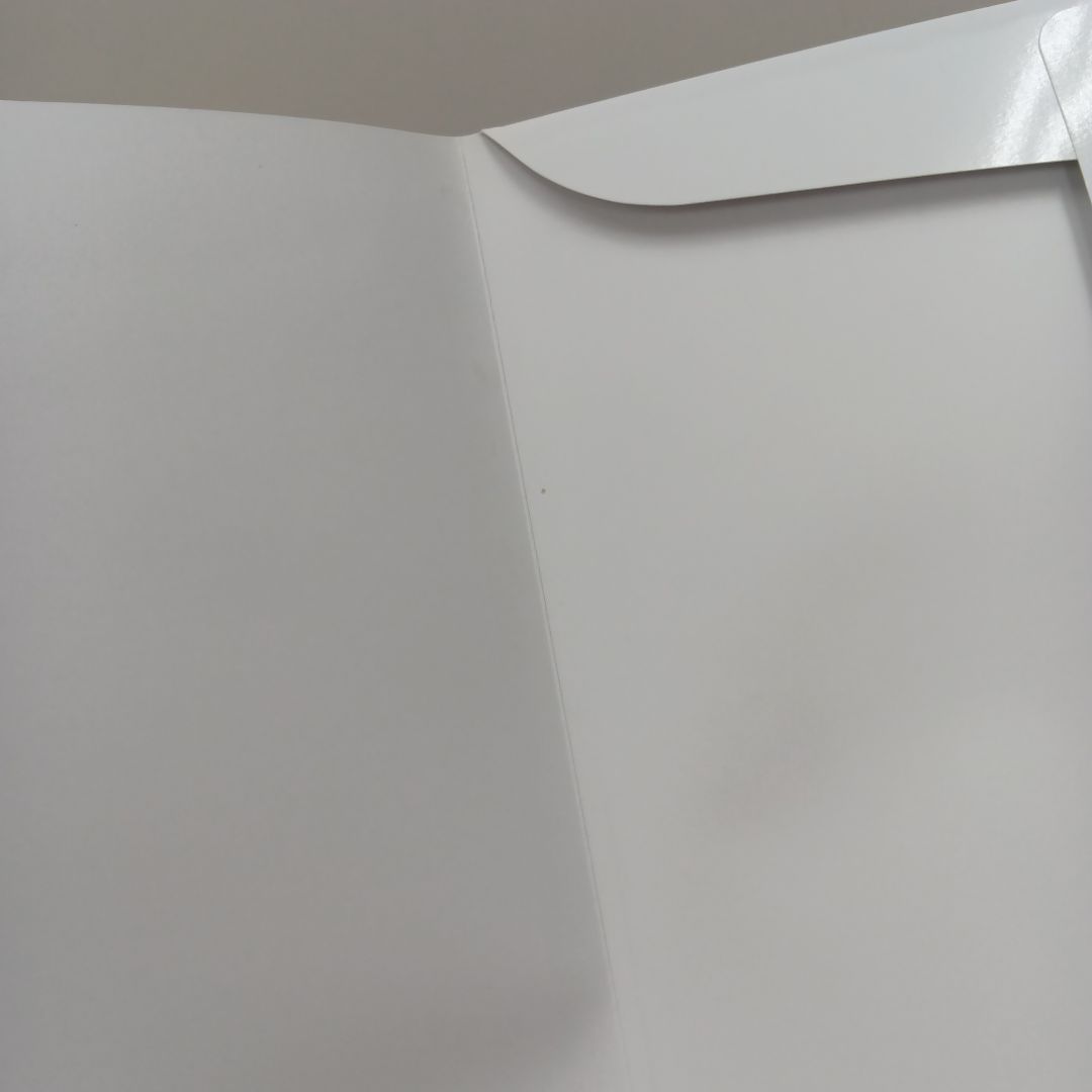 ❶要確認 アイナナ日和 1st PHOTO BOOK 購入特典ブロマイド 11冊