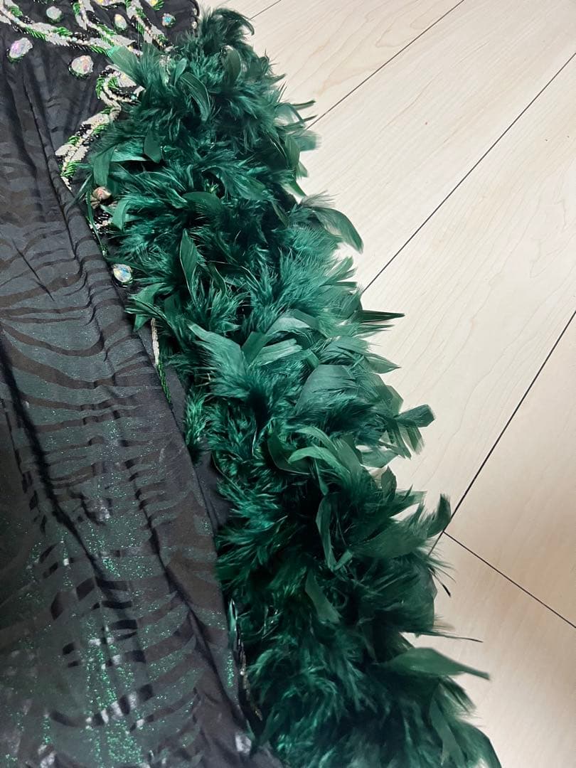 ベリーダンス衣装 エジプト製　羽付　深緑