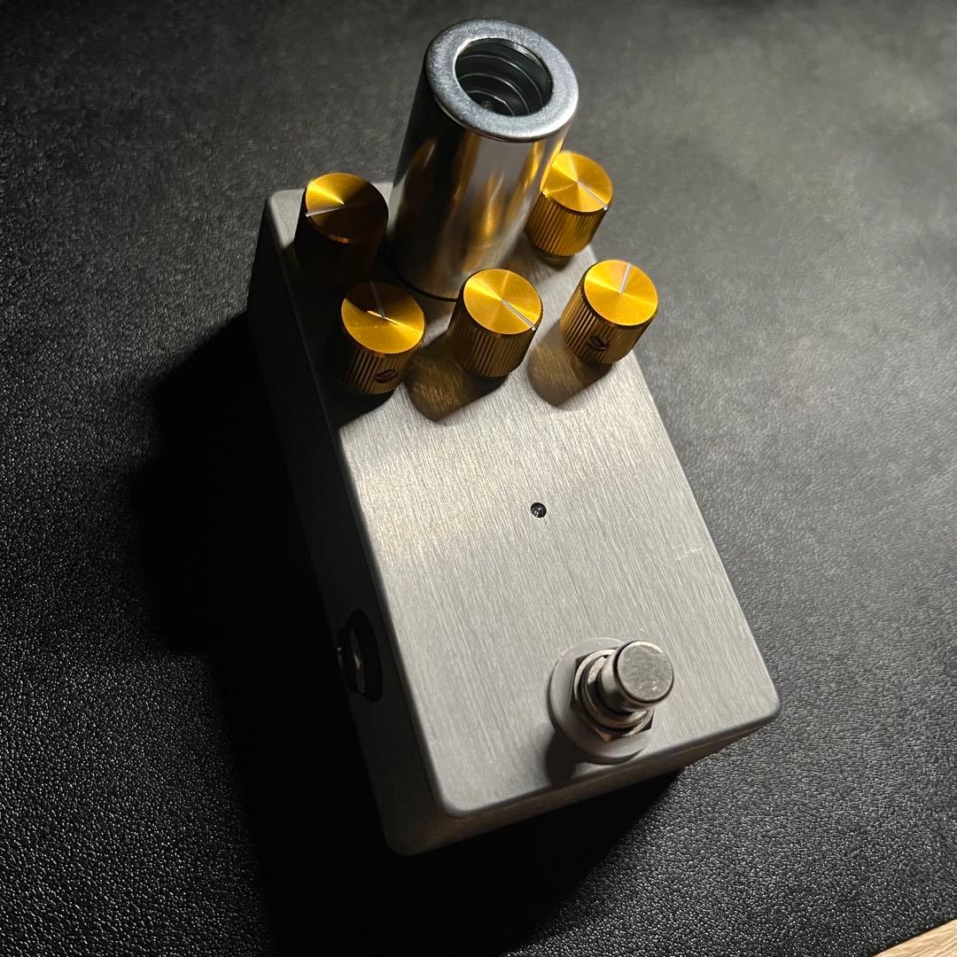 ギター Lee Custom Amplifier / VJCM-800