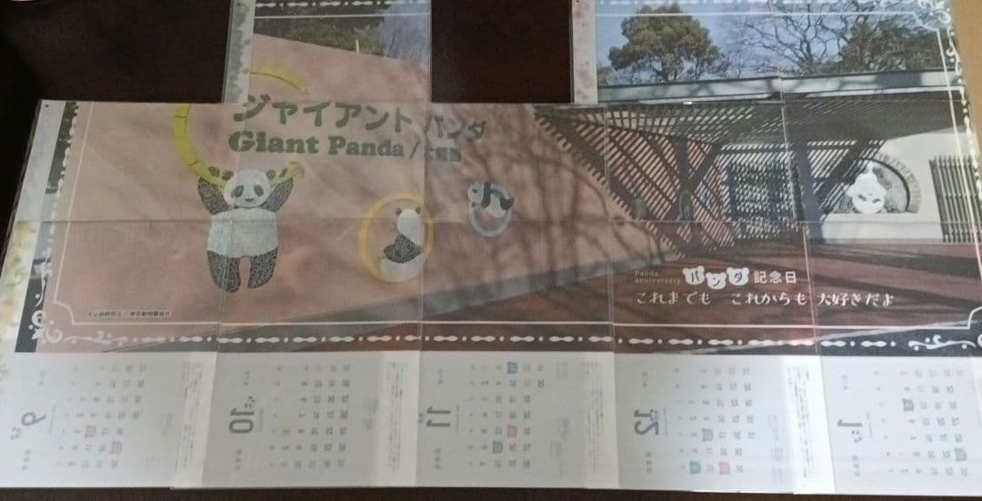 パンダ記念日カレンダー入りクリアファイル 13枚 松坂屋上野店 シャンシャン