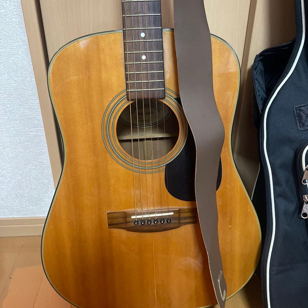 Stafford & Co. SF - 300 アコースティックギター セット