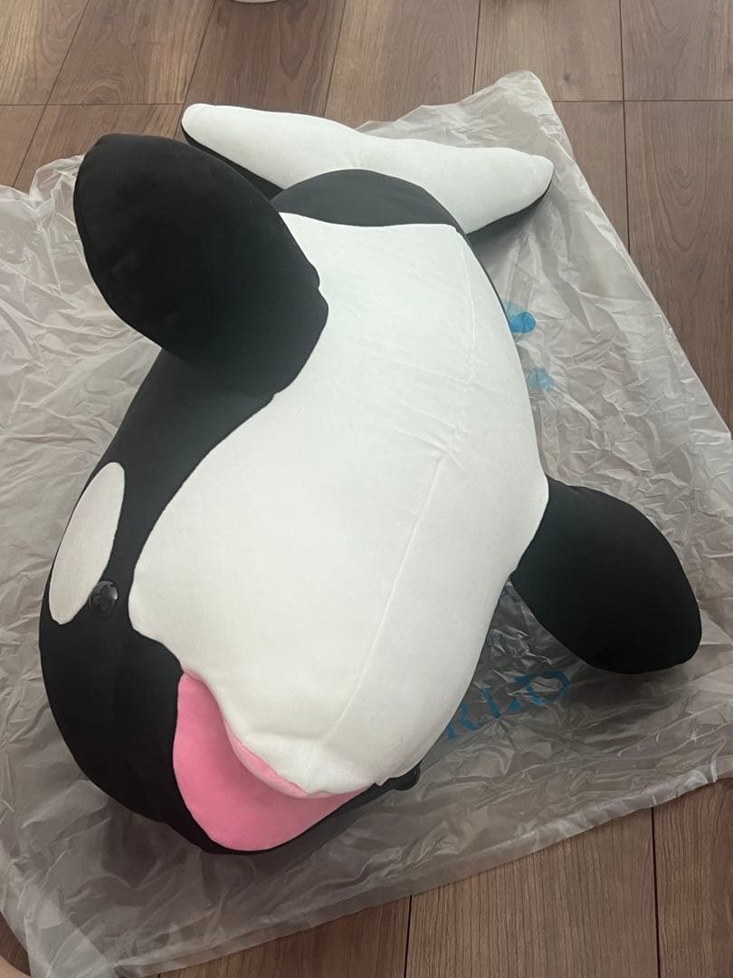 須磨シーワールド　シャチ　オルカくじ　一等