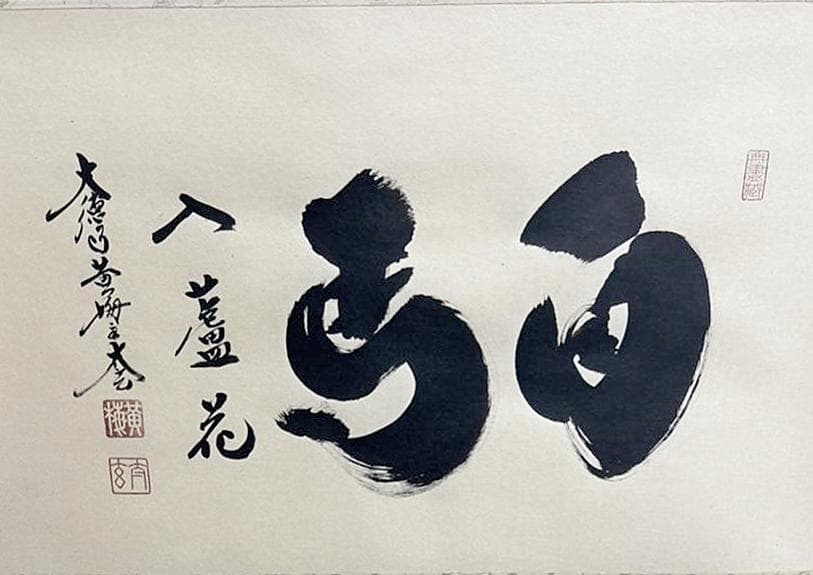 【新品同様】掛軸 大徳寺 小林太玄筆『白馬入蘆花』紙本 肉筆 横軸 共箱 掛け軸