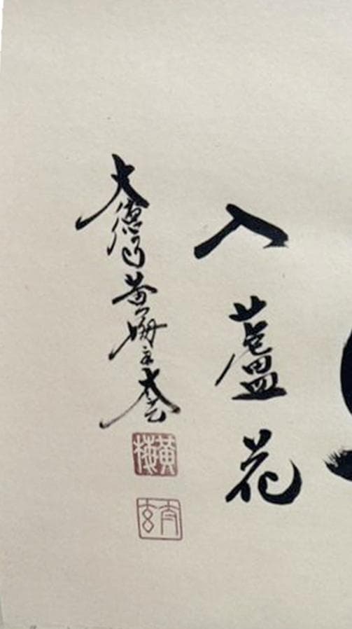 【新品同様】掛軸 大徳寺 小林太玄筆『白馬入蘆花』紙本 肉筆 横軸 共箱 掛け軸