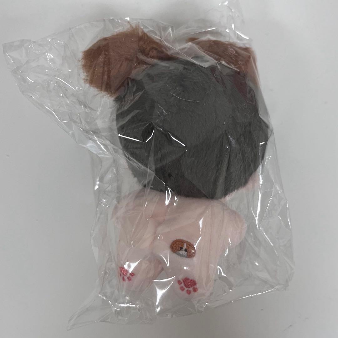 シャオジュン ぬいぐるみ ポーチ セット