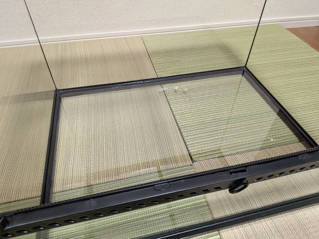 【美品 クリーンアップ済み】グラステラリウム 6045 爬虫類ケージ