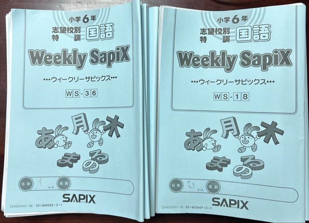 ㉔な　サピックス　SAPIX 6年ウィークリーサピックス　国語　知識の総完成