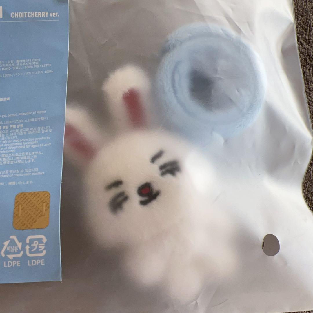SEVENTEEN セブチ MINITEEN エスクプス デコバンド