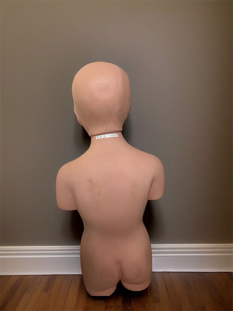 人体模型　タッちゃん