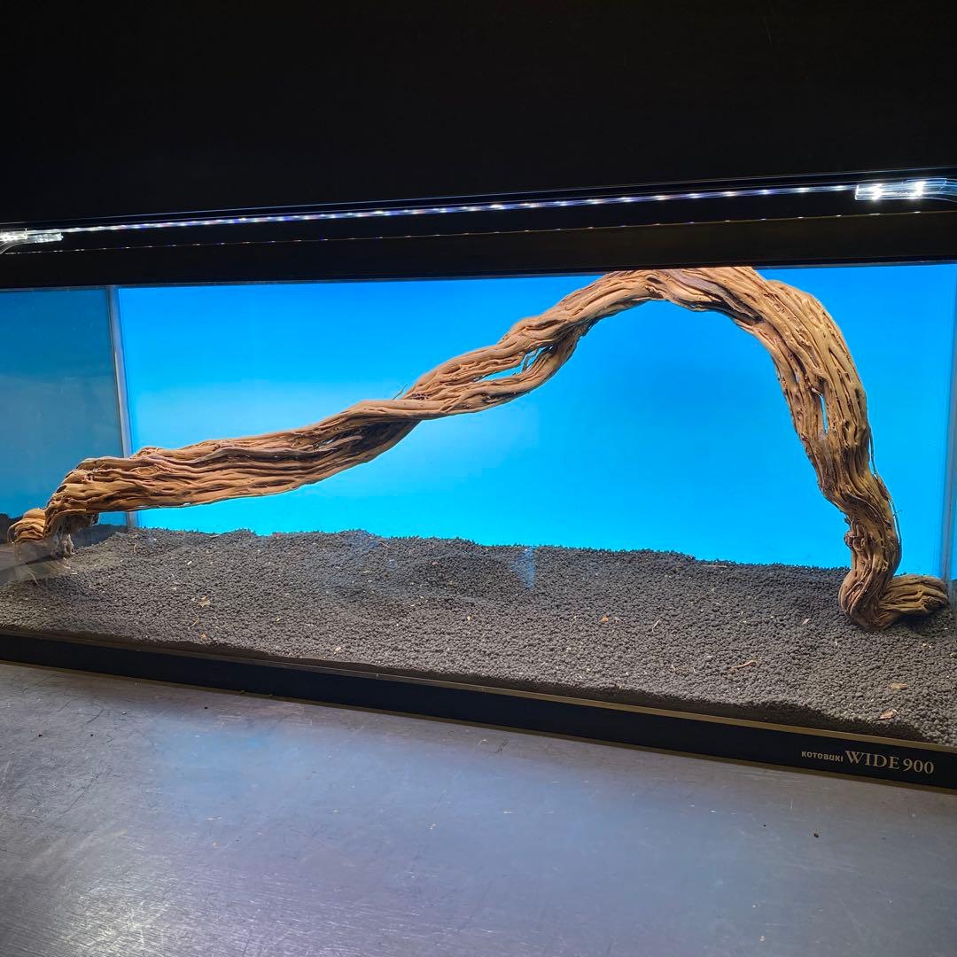MTW-6748 蔦流木1点物　90cm水槽用流木　アクアリウム