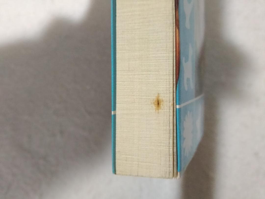 名馬風の王 青い鳥文庫 動物感動読み物シリーズ ■2200/
