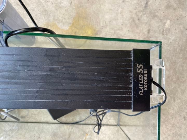 Gex60cm水槽セット