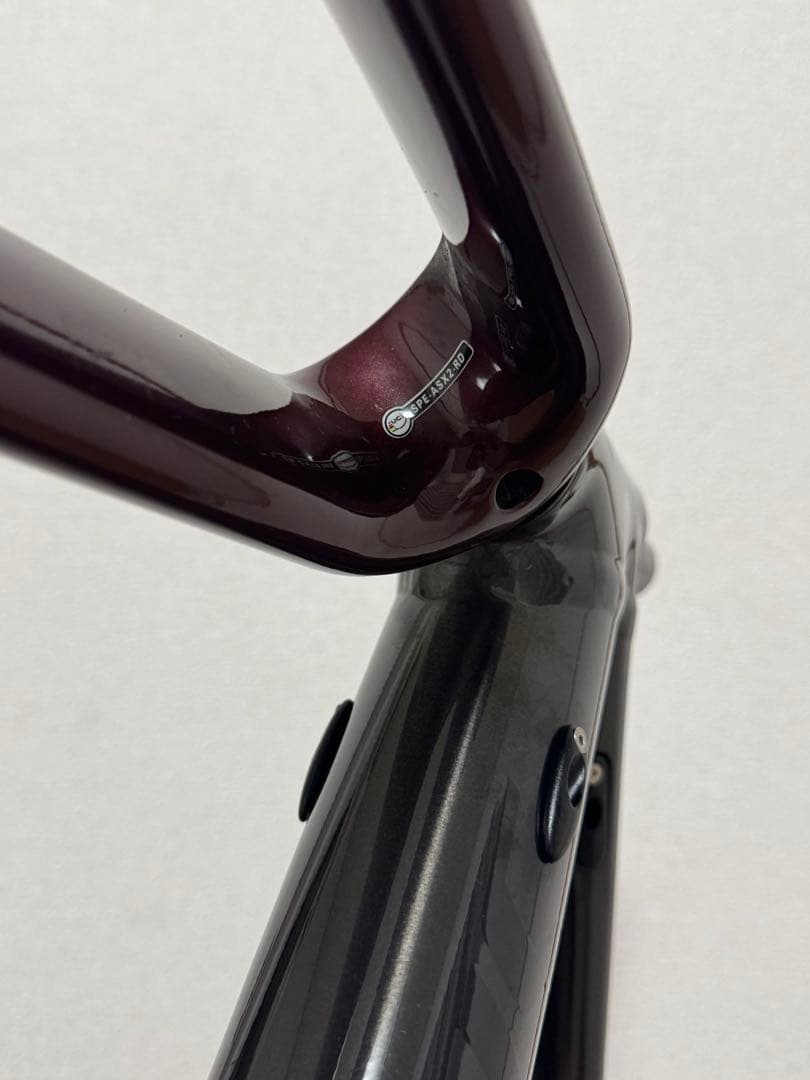SPECIALIZED ALLEZ SPRINT アーティストコレクション