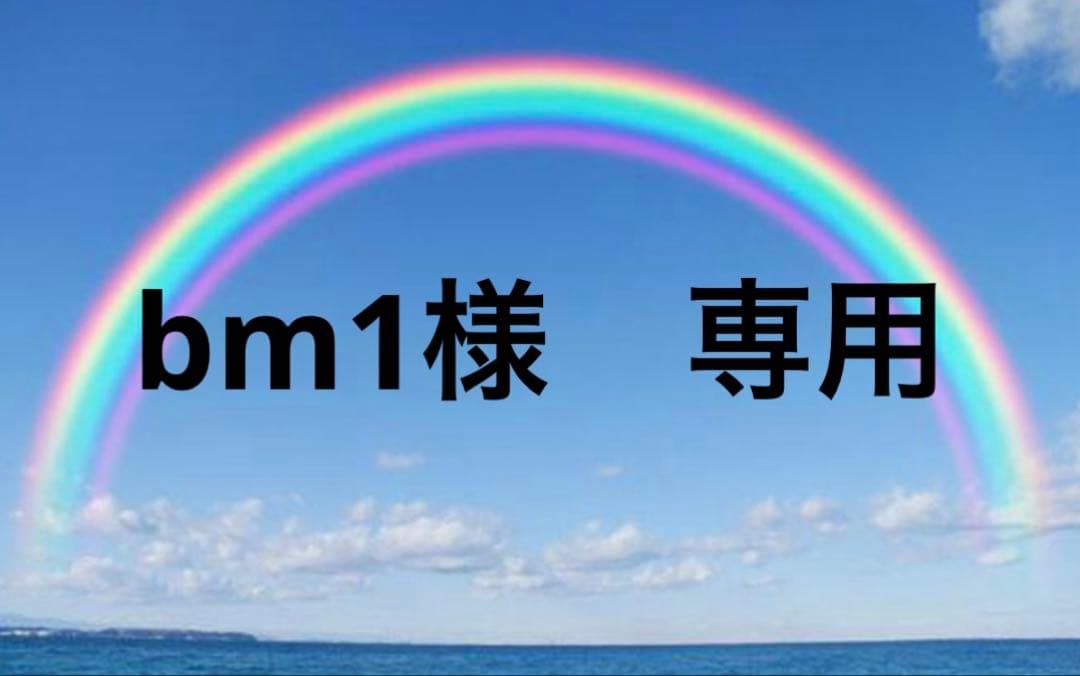 bm1