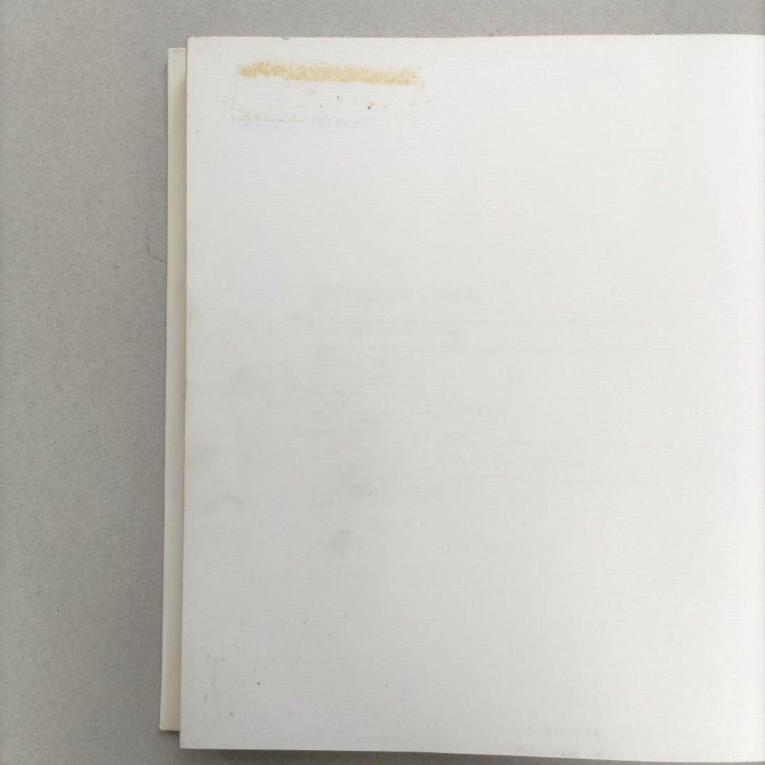 【希少】Jasper Johns Drawings/ジャスパー・ジョーンズ 作品