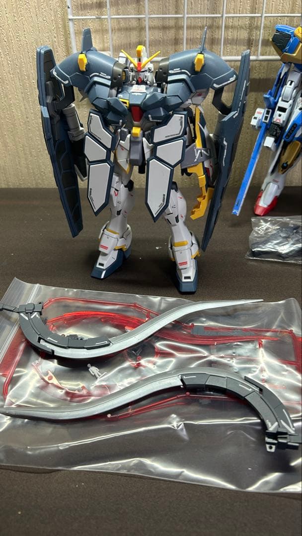 ガンプラ ジャンク プレバン品 2点set まとめ売り MG 2体