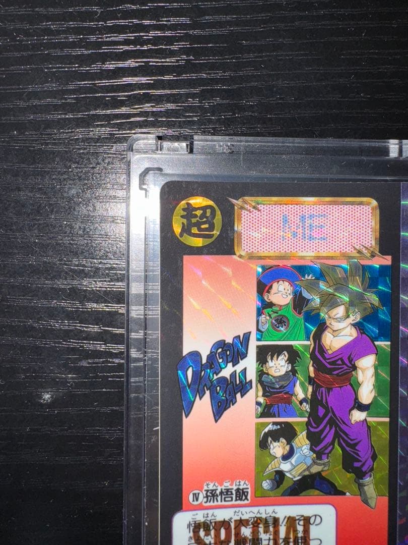 ドラゴンボール めちゃんこプロジェクト IV 孫悟飯 国内正規品 抽プレ