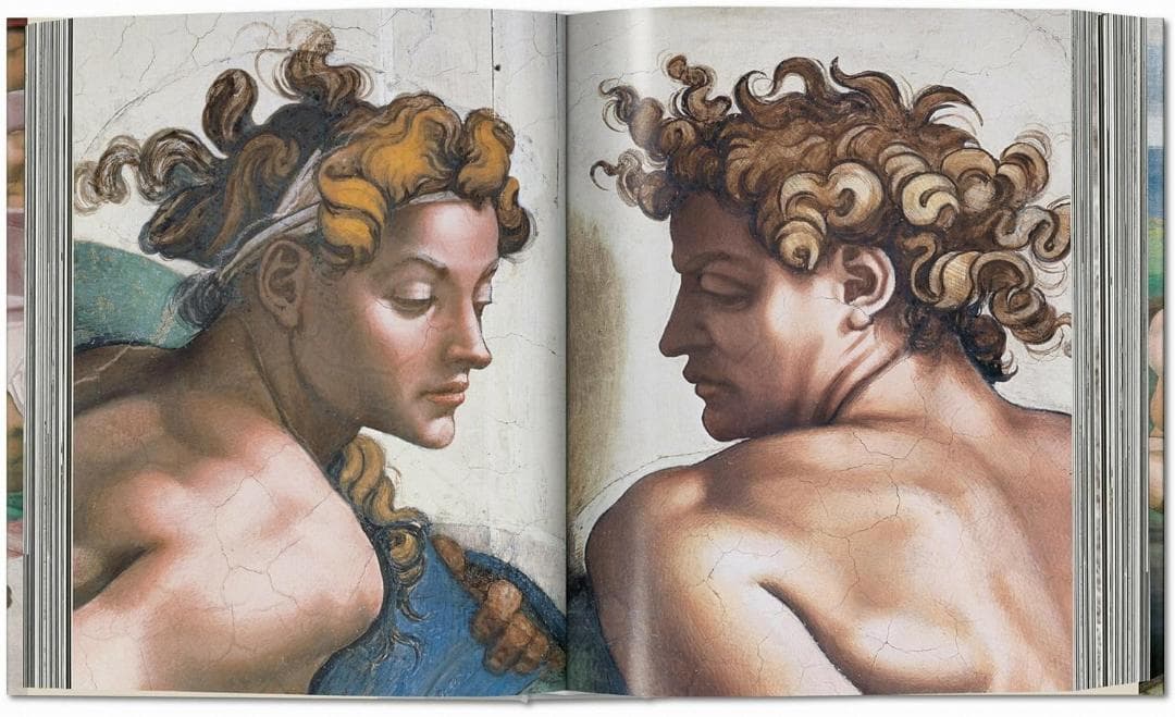 ミケランジェロ Michelangelo 全作品集 絶版 XXL 新品未開封版