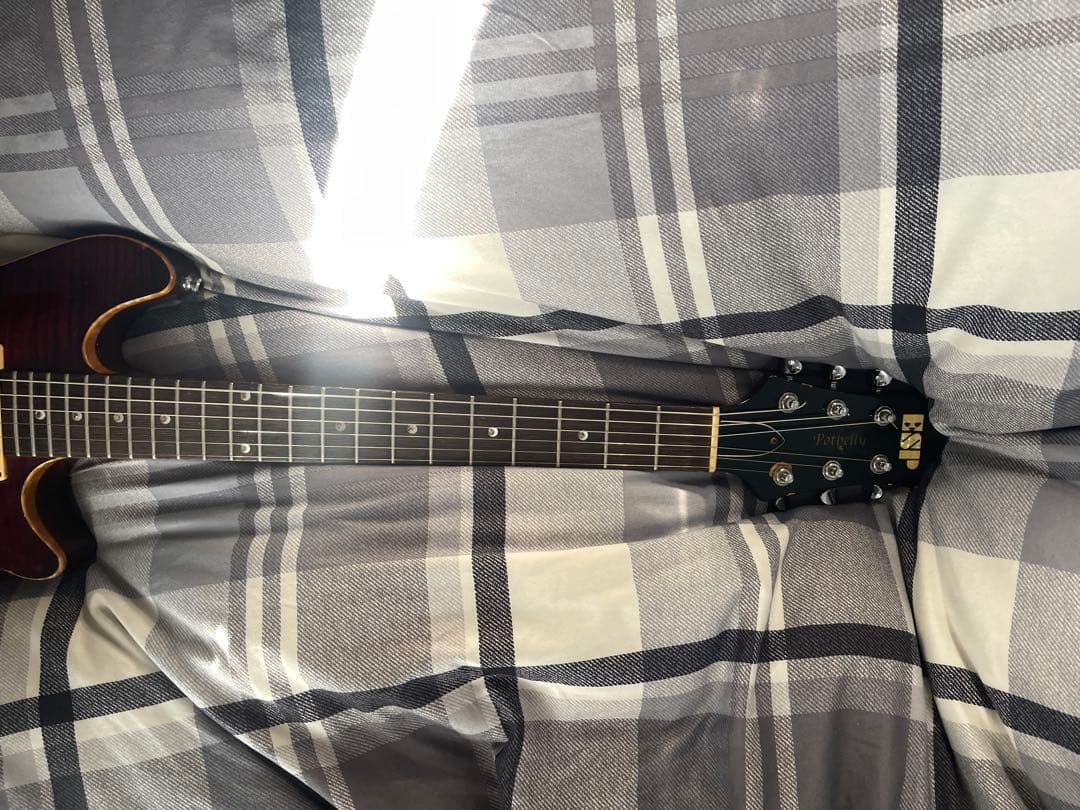 ESP Potbelly エレキギター