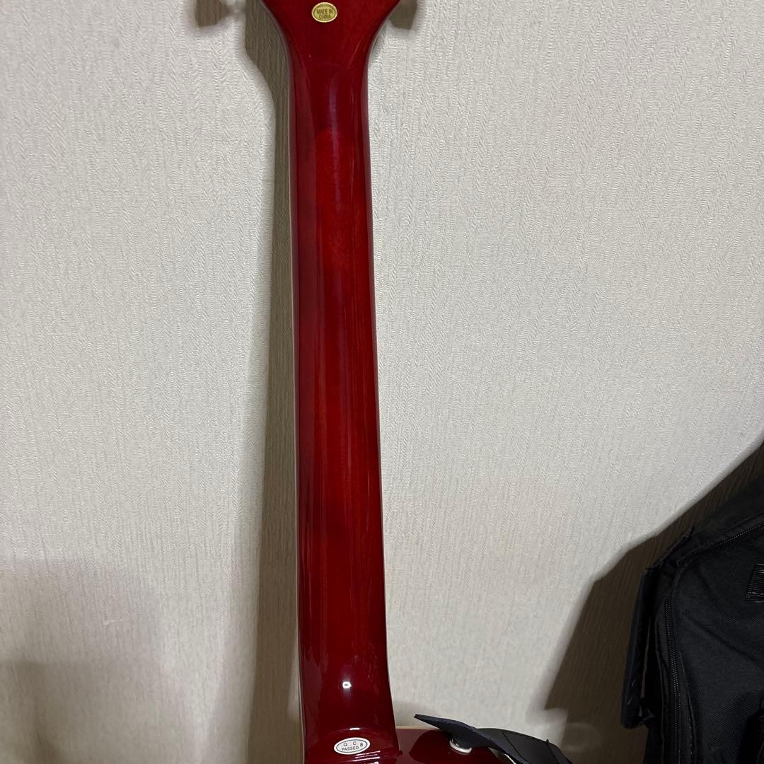 Maison メイソン エレキギター レスポールタイプ　楽器　ソフトケース付き