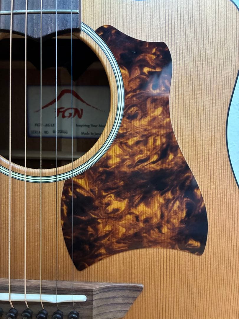 たけC　FGN AG1E