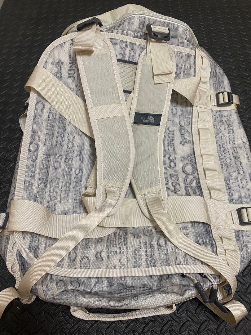 THE NORTH FACE ダッフルバック【廃盤カラー】