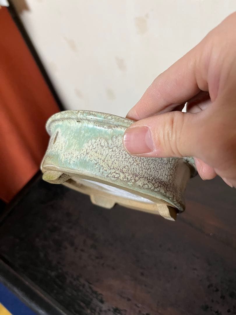三河盆栽459 盆栽　盆栽鉢　植木鉢　和鉢　俊豪
