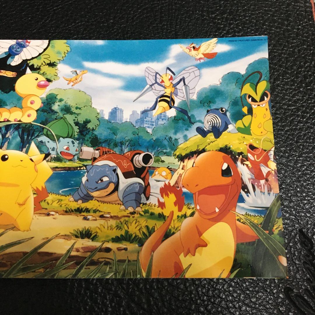 ポケモン　写真