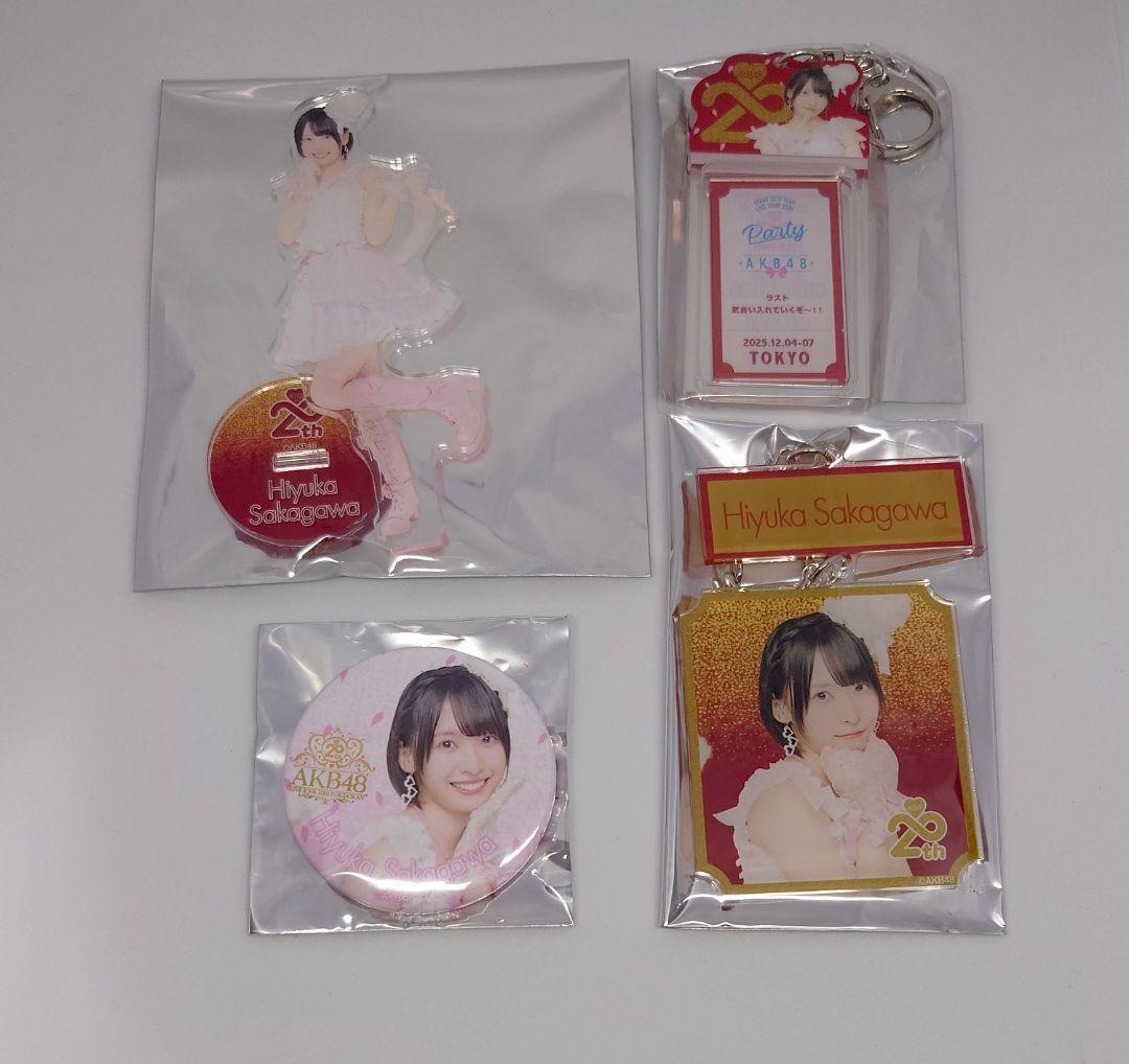 【Y】 AKB48 武道館コンサート グッズセット