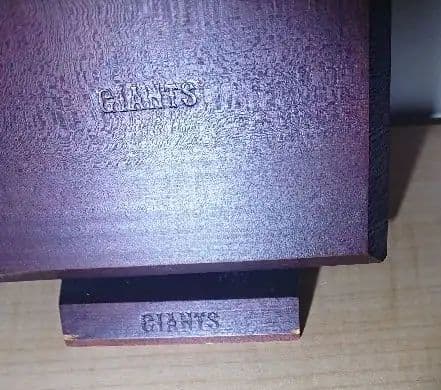 読売ジャイアンツ 巨人 生写真 ホルダー付き レア