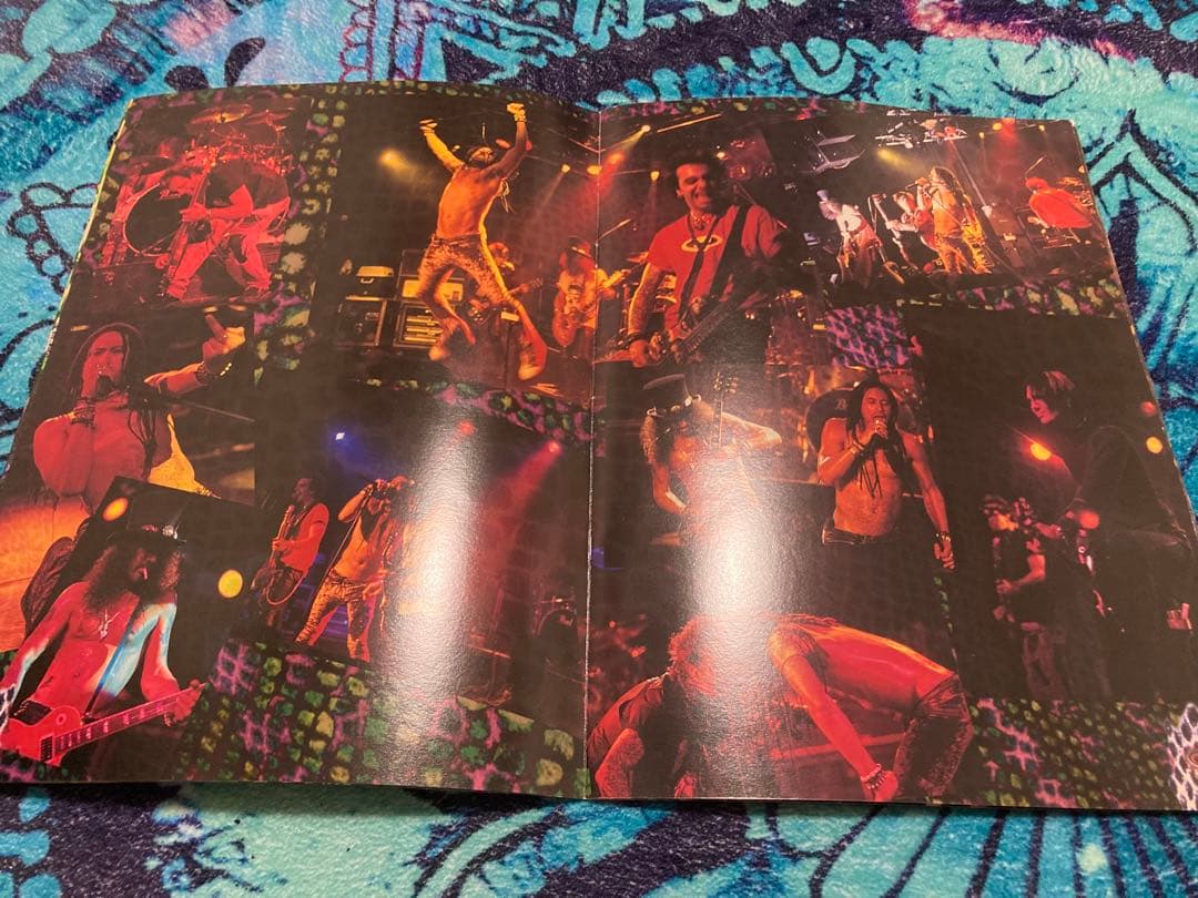 Slash's Snakepit Ain't Life Grandツアーパンフレ