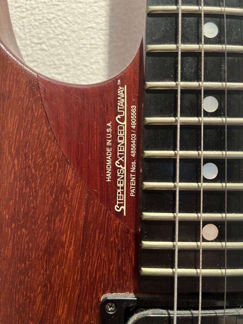 【希少】Washburn USA製 N4 DARK