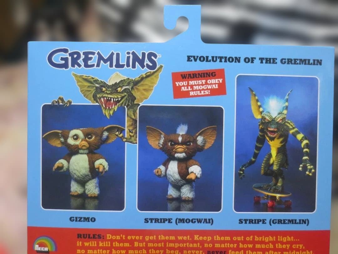 40th限定　Evolution of a Gremlinモグワイ＆グレムリン