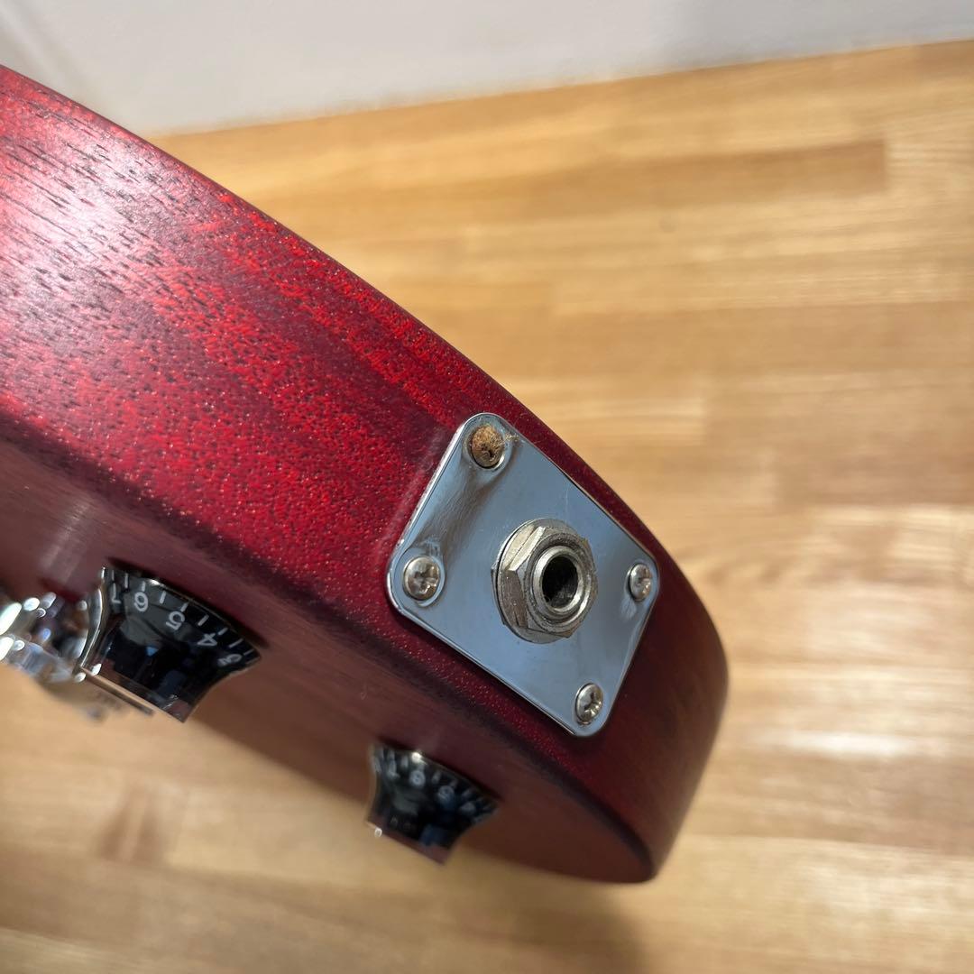 Yoshi　Gibson Les paul Special BOBLEN
