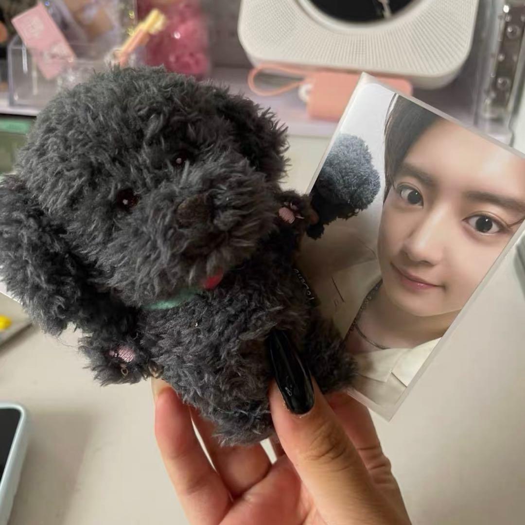 EXO チャニョル トベン ぬいぐるみ