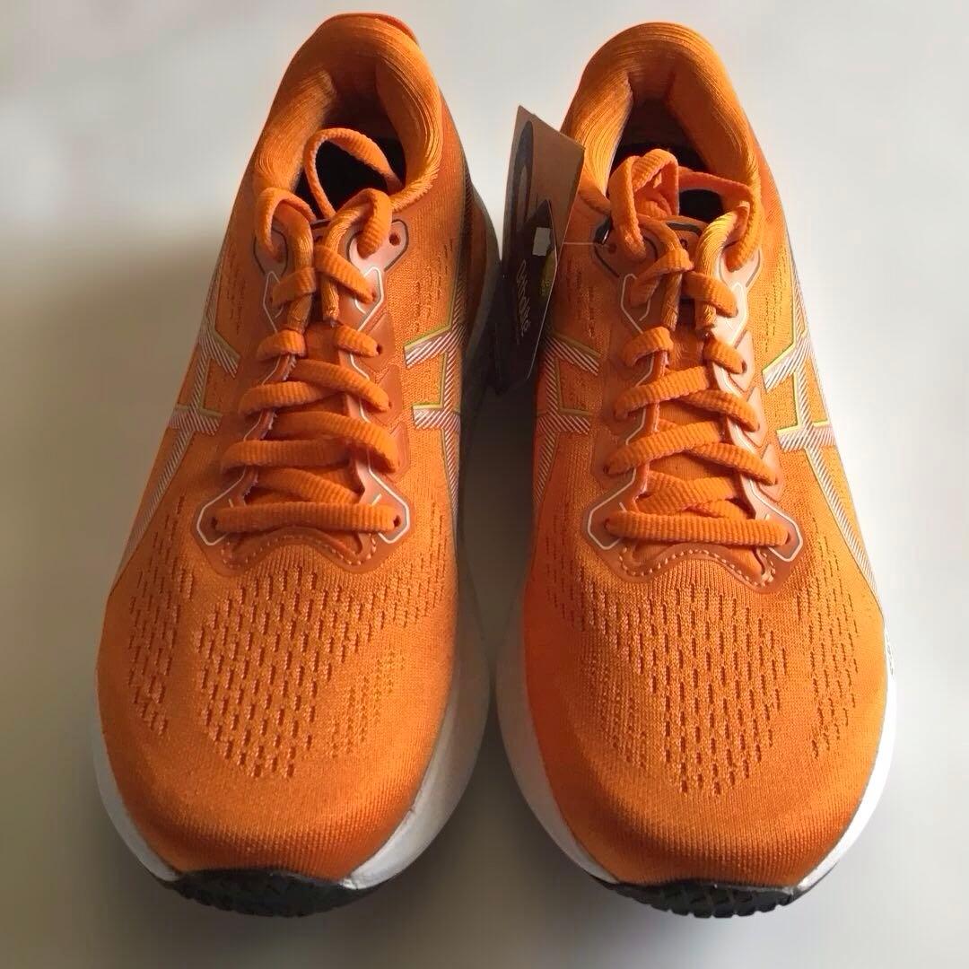 ASICS GEL-KAYANO 30 ゲルカヤノ25.0cm 【新品・未使用】