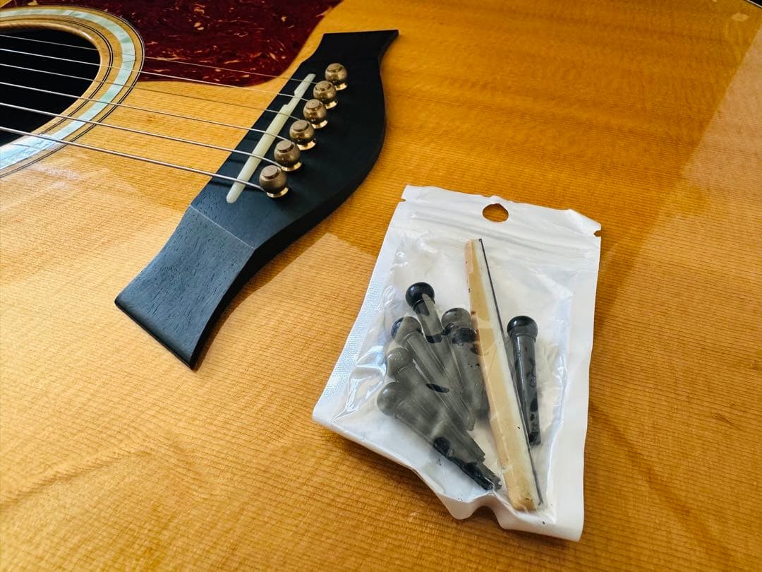 Taylor 214ce Fall-LTD エレアコ