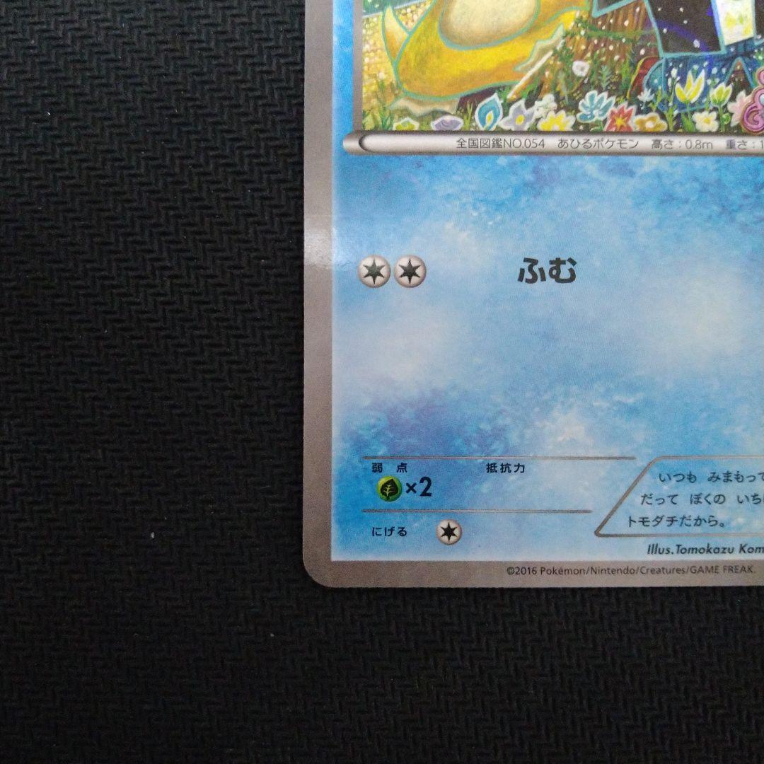XY-P コダック_ポケキュンコレクション キャンペーン　増田順一 コラ