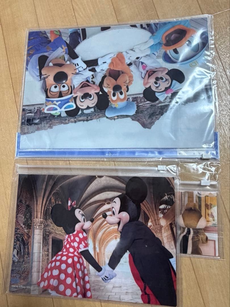 ディズニー　イマジニングザマジックセット