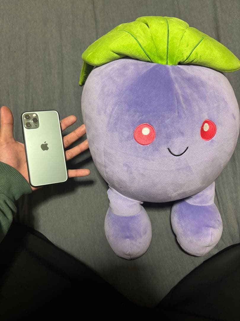 ポケモン　ナゾノクサ　もっちりまんまるクッション