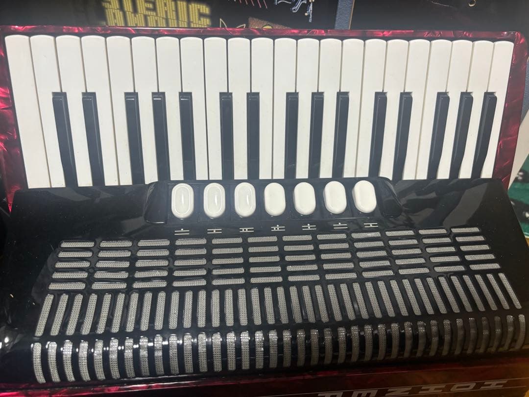 HOHNER AMICA Ⅲ 96アコーディオン96ベース