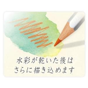 【未使用】 STAEDTLER　カラト アクェレル水彩色鉛筆 ステッドラー