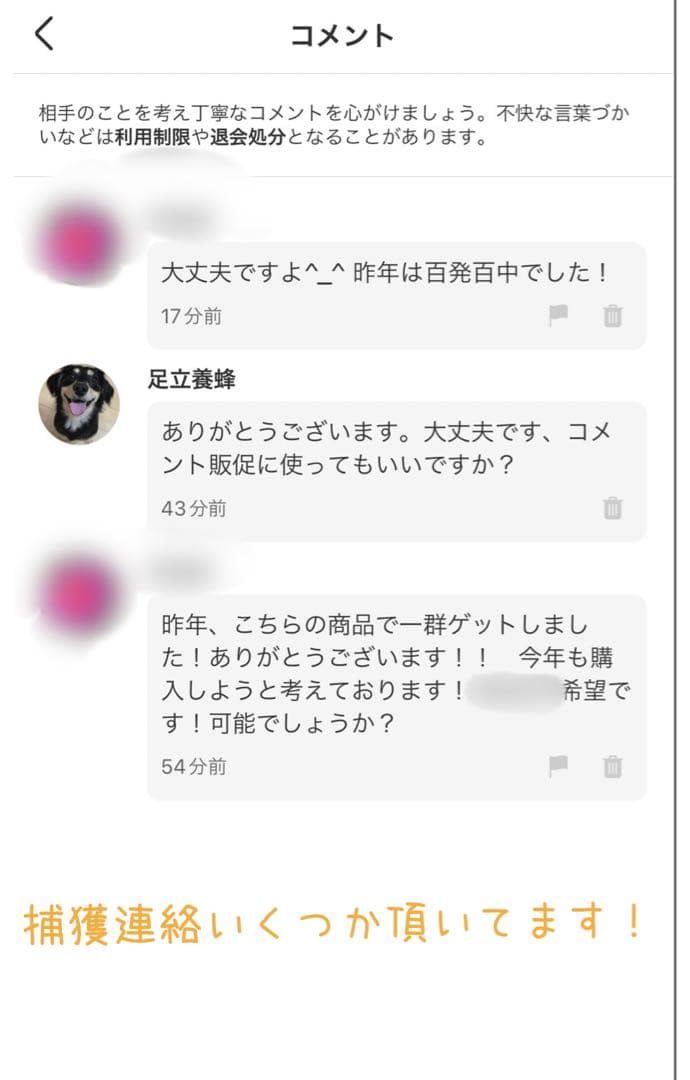 とろろめかぶ